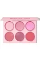 Sheglam-شیگلم-Blushing-Bouquet-پالت-رژگونه-رنگ-