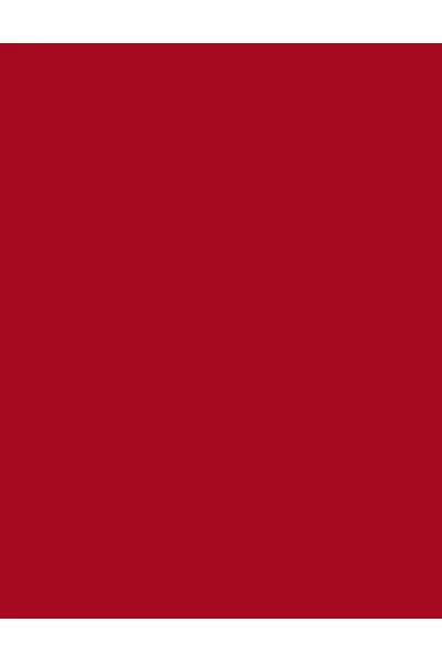  تصویر 3 : Flormar فلورمار CLARET RED 007 رژلب مات و ابریشمی Silk Matte  رنگ  