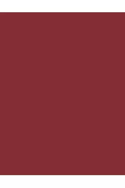  تصویر 1 : Flormar فلورمار BLOSSOM 006 رژلب مات و ابریشمی Silk Matte رنگ  