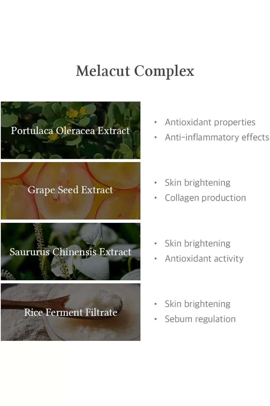ترکیبات کلیدی سرم نیاسینامید ۱۵ درصد خالص دکتر التیا Dr.Althea