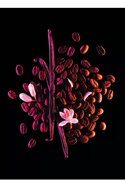  تصویر 1 : Yves Saint Laurent ایوسن لورن  عطر زنانه بلک اوپیوم پرفیوم  