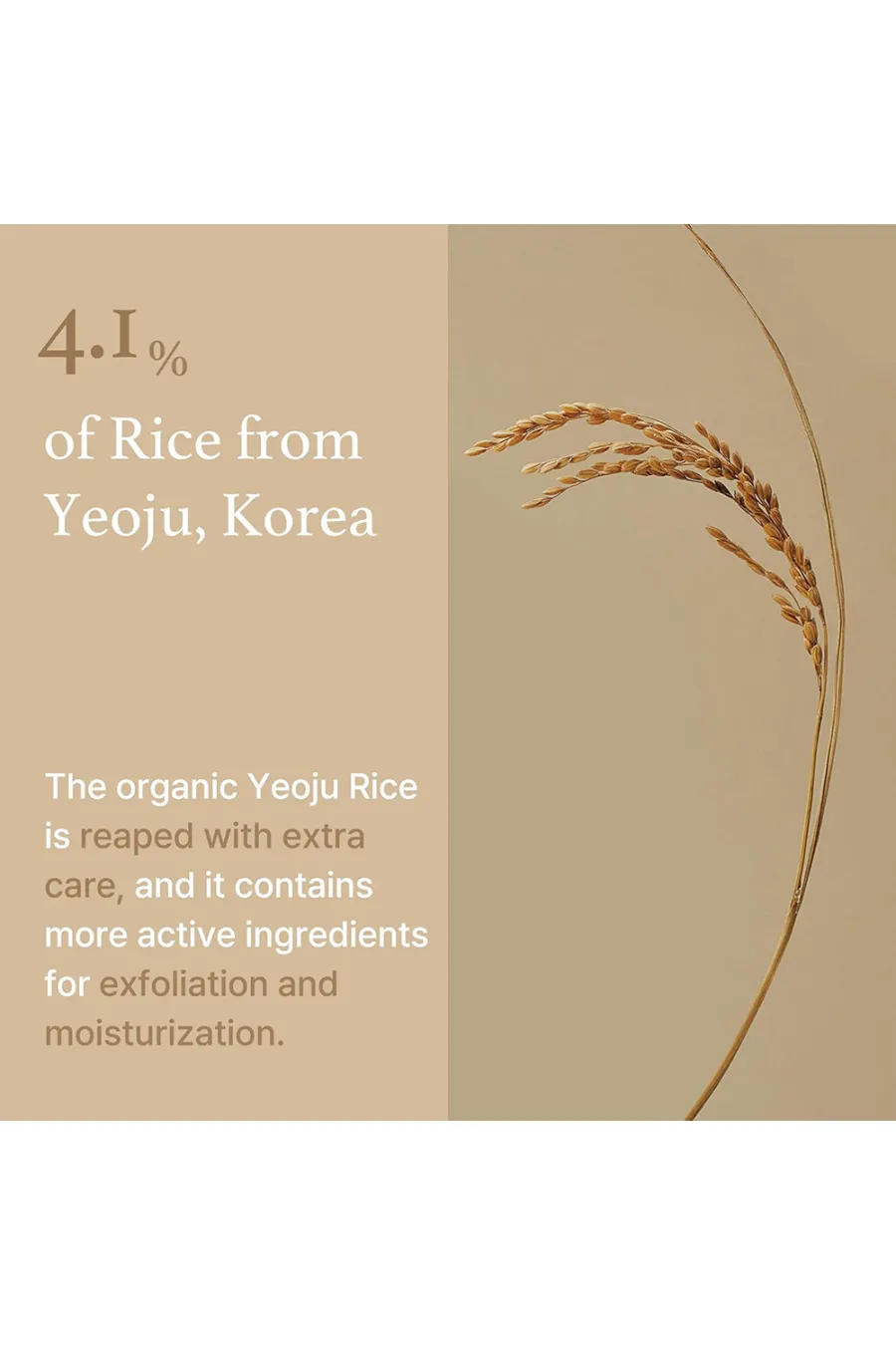 مشخصات ماسک برنج آبرسان و روشن کننده پوست آیم فرام I'm From Rice Mask ماسک برنج آبرسان و روشن کننده پوست مشخصات ماسک برنج آبرسان و روشن کننده پوست آیم فرام I'm From Rice Mask ماسک برنج آبرسان و روشن کننده پوست
