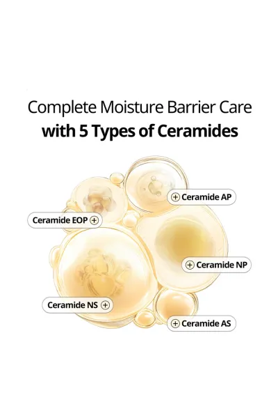  تصویر 9 : VT Cosmetics وی‌تی کازمتیک  کرم کپسولی برنج و سرامید ضد لک روشن کننده قوی و تقویت سد دفاعی پوست  