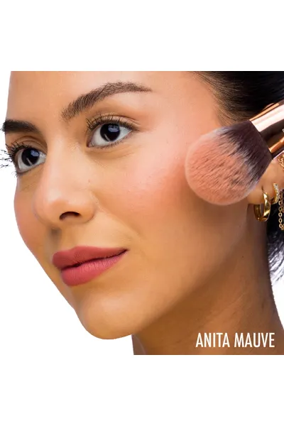  تصویر 2 : رژگونه فشرده با رنگ Anita Mauve رز مایل به قهوه‌ای روشن و طبیعی دبالم The balm 