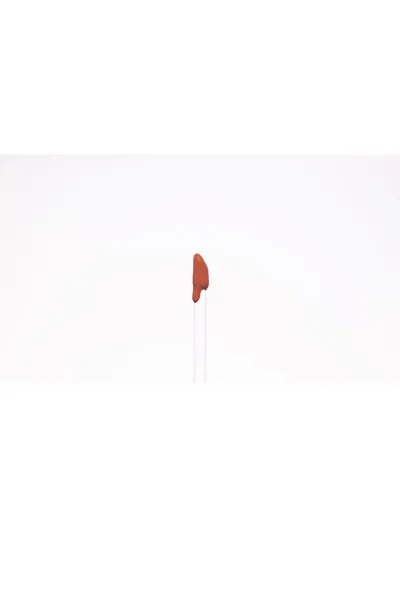  تصویر 4 : برنزر و کانتور پودری Bahama Mama رنگ قهوه‌ای روشن با تناژ سرد دبالم The balm 