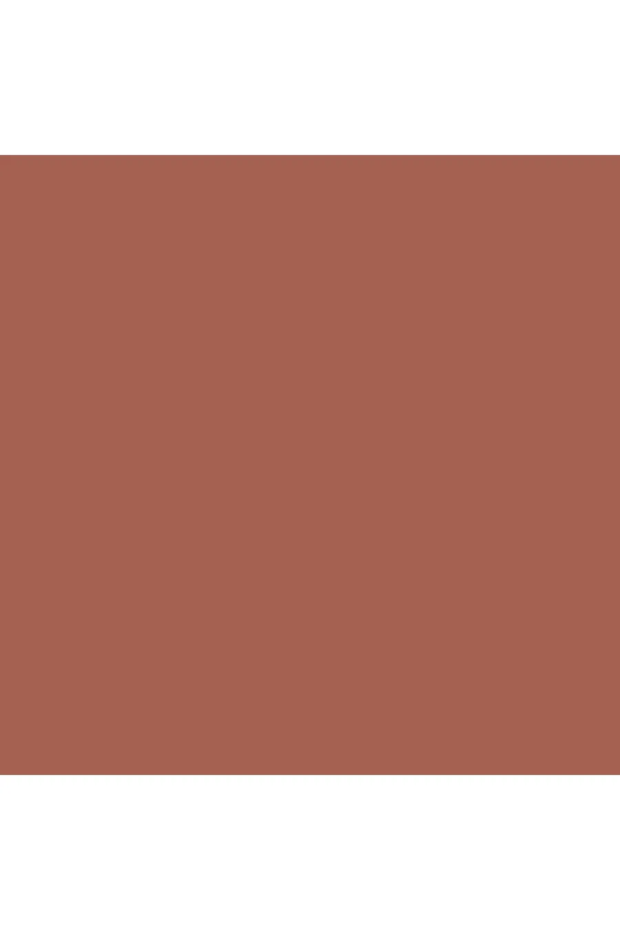 رنگ و تناژ محصول تینت لب و برق لب رنگ 389 Amber Bloom قهوه ای روشن با جلوه براق بیولیس Beaulis