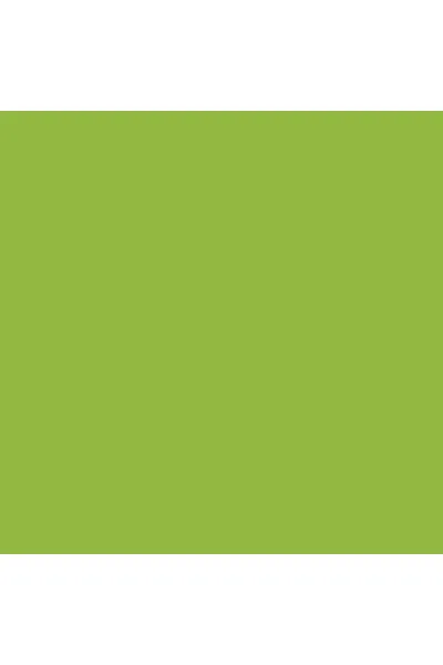  تصویر 2 : روغن لب 704 Jade Green سبز یشمی با درخشش لطیف و آبرسانی لب لایکد LYKD 