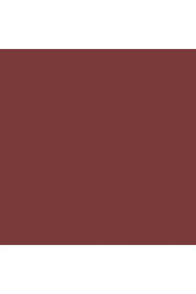  تصویر 2 : رژلب Merry 223 Rustic Spice قهوه‌ای آجری با بافت نرم و ماندگار لایکد LYKD 