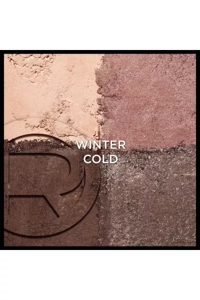  تصویر 3 : پالت سایه چشم و گونه چهاررنگ 04 Winter Cold در طیف سرد و چندرنگ لورال پاریس L'Oreal Paris 