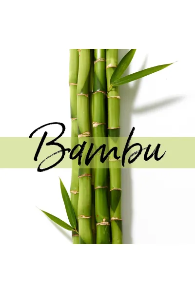  تصویر 5 : Pantene پانتن  ماسک مو عصاره بامبو +بیوتین  