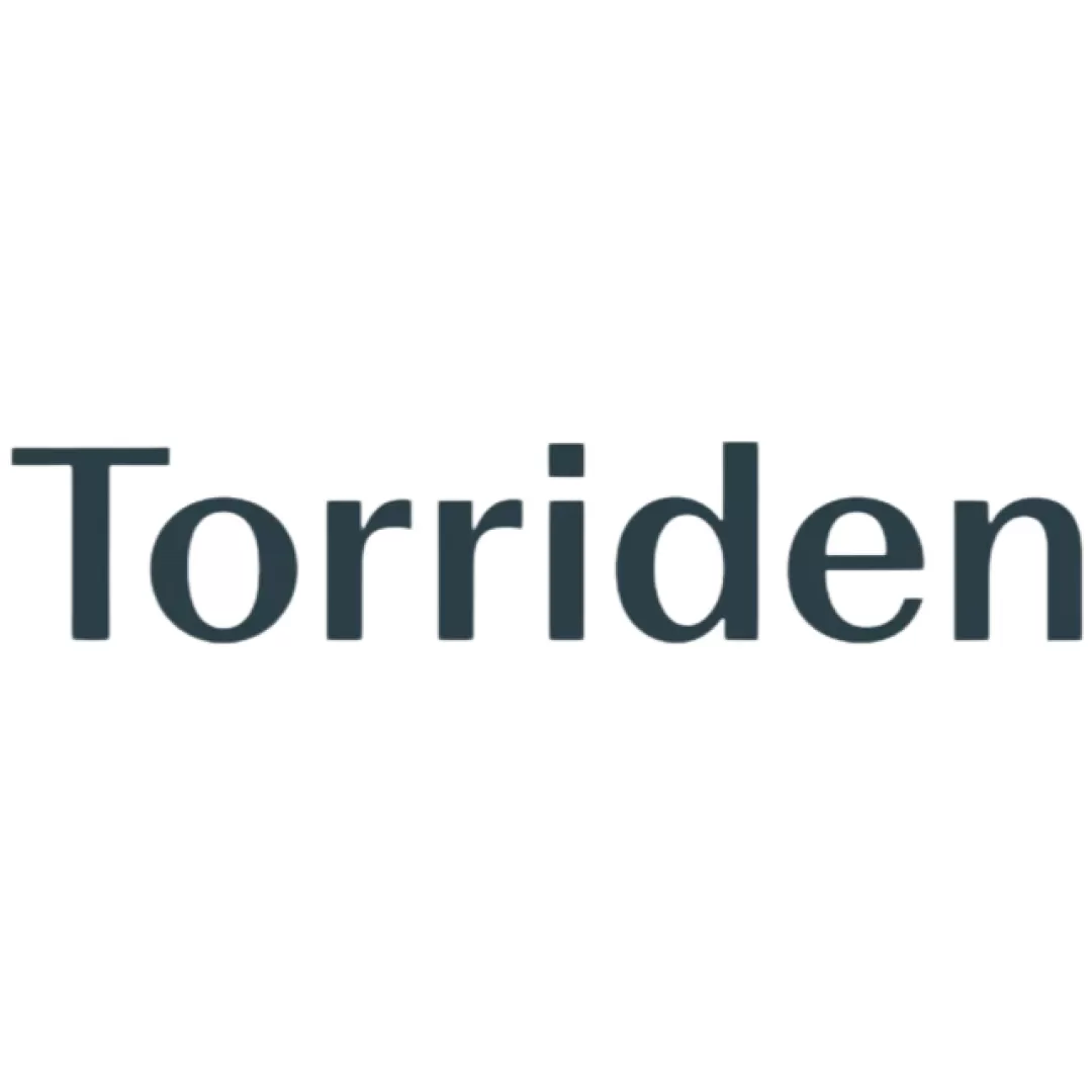 توریدن Torriden